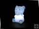 color changing LED sheep