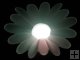 Christmas Gift Colorful LED of Chrysanthemum Nightlight