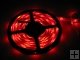 5M Drivepipe Waterproof 60LED 3528 SMD Flexible Light Strip-Red Light