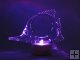 Christmas Gift Colorful LED of Shark Small Places Lights