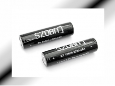 SZOBM ZY18650 2200mAh 3.7V Protected Li-ion Batteries (2-Pack+Case)