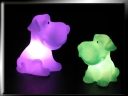 color changing LED dog