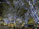 100 LED Blue String Fairy Lights Christmas tree lamp