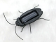 Solar Cockroach Toy