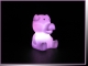 color changing LED pig