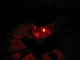 images/v/201104/13031947495_Camping5.jpg