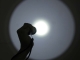 images/v/201107/13106937965_flashlight_6.jpg
