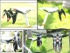 images/v/201108/13138298186_holder_7.jpg
