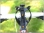 images/v/201108/13138301231_flame_3.jpg